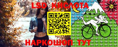 PSILOCYBIN Уссурийск
