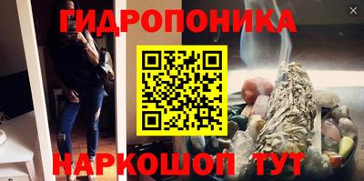 прущие крисы Усть-Илимск