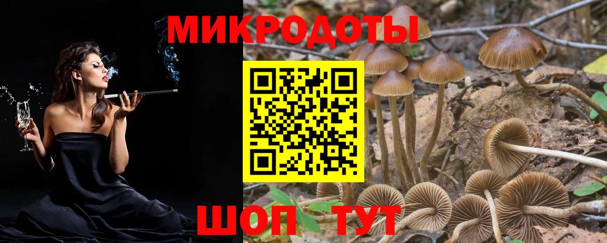 Галлюциногенные грибы мицелий Людиново
